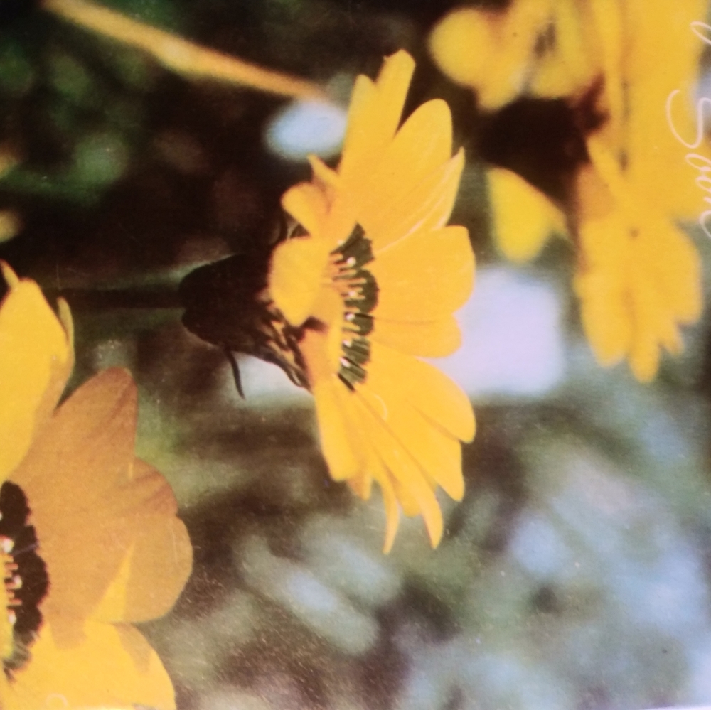 Spring closet updates